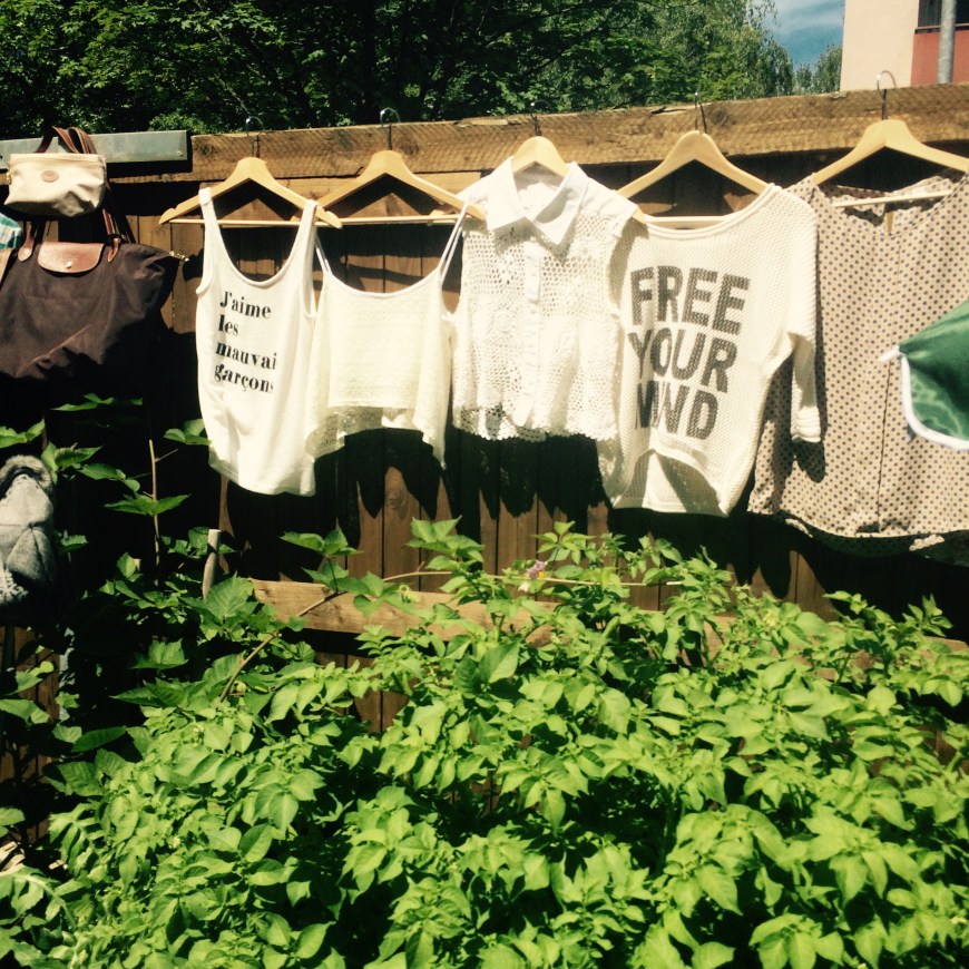 IMG_0213 (Bearbeitet)